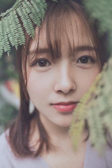 沧元图在线观看全集免费高清