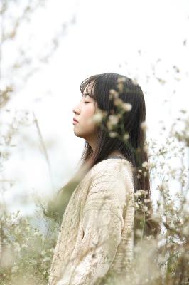 长月烬明电视剧免费观看完整版